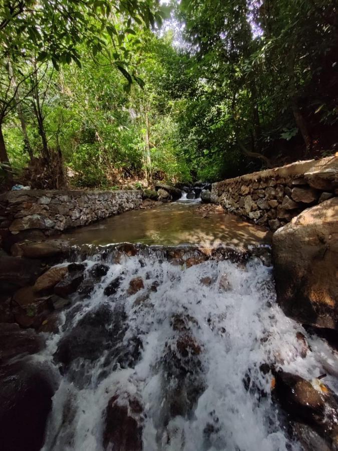 Forest And River Edge Resort Cananor Exterior foto